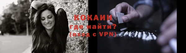 спайс Ладушкин