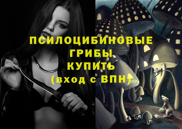 спайс Ладушкин