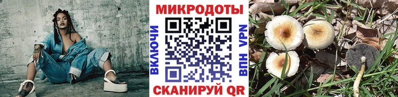 Галлюциногенные грибы Psilocybe  Купить  Альметьевск 